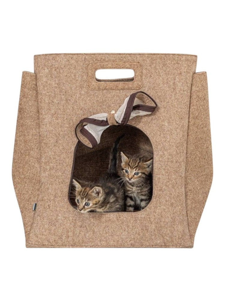 Katzenhaus / Transporter