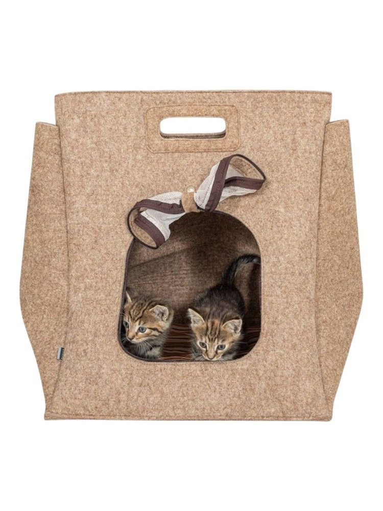 Katzenhaus / Transporter