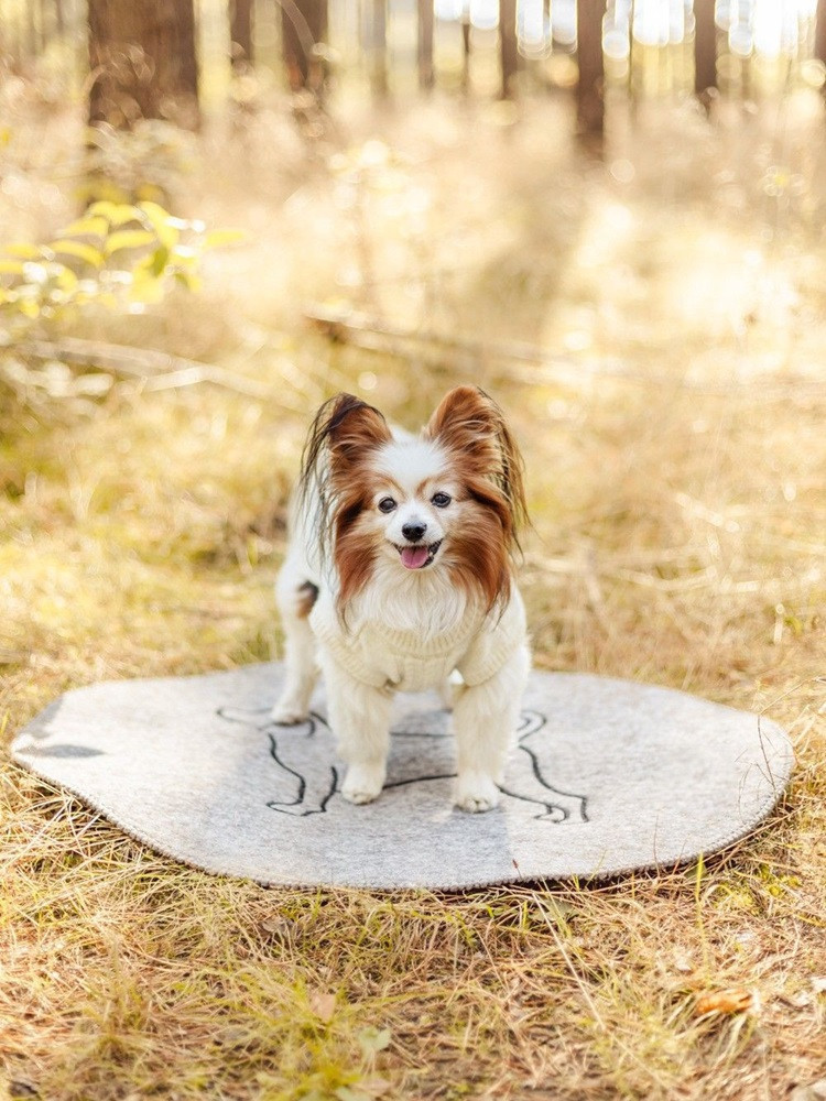 Hundebett aus Wolle L-XL