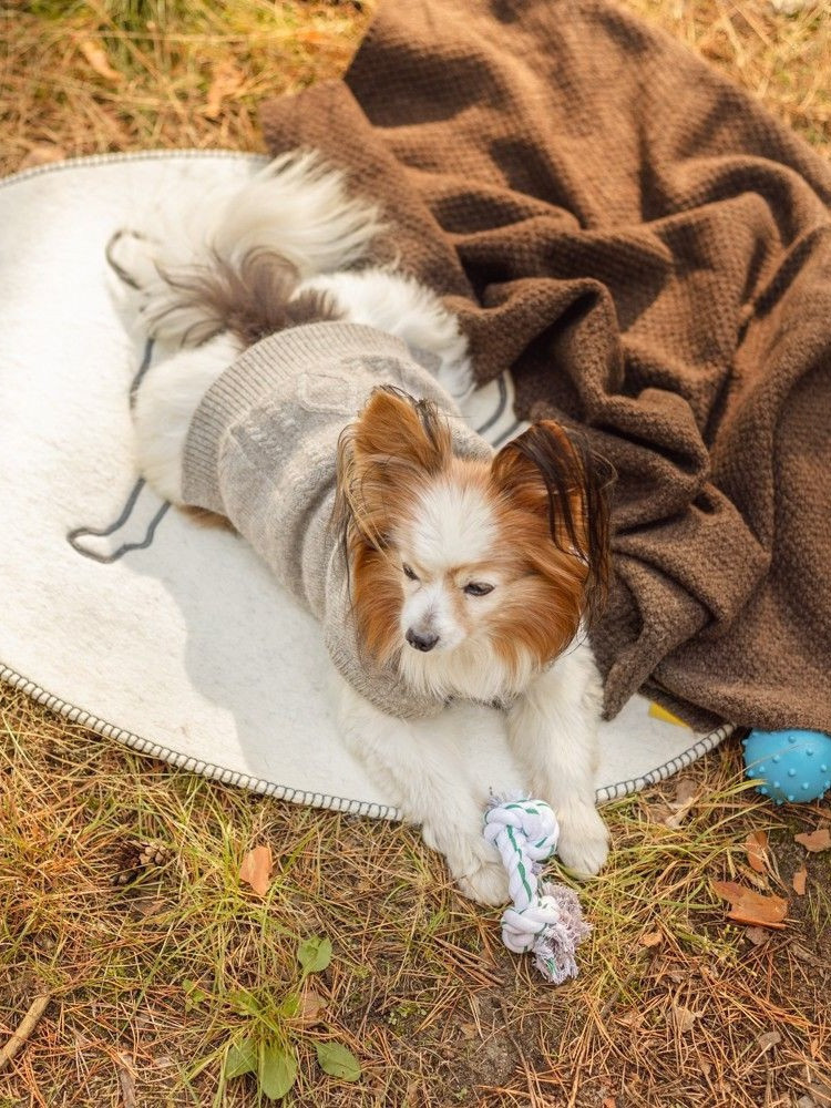 Hundebett aus Wolle L-XL